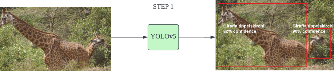 YOLOv5 Pipeline Diagram